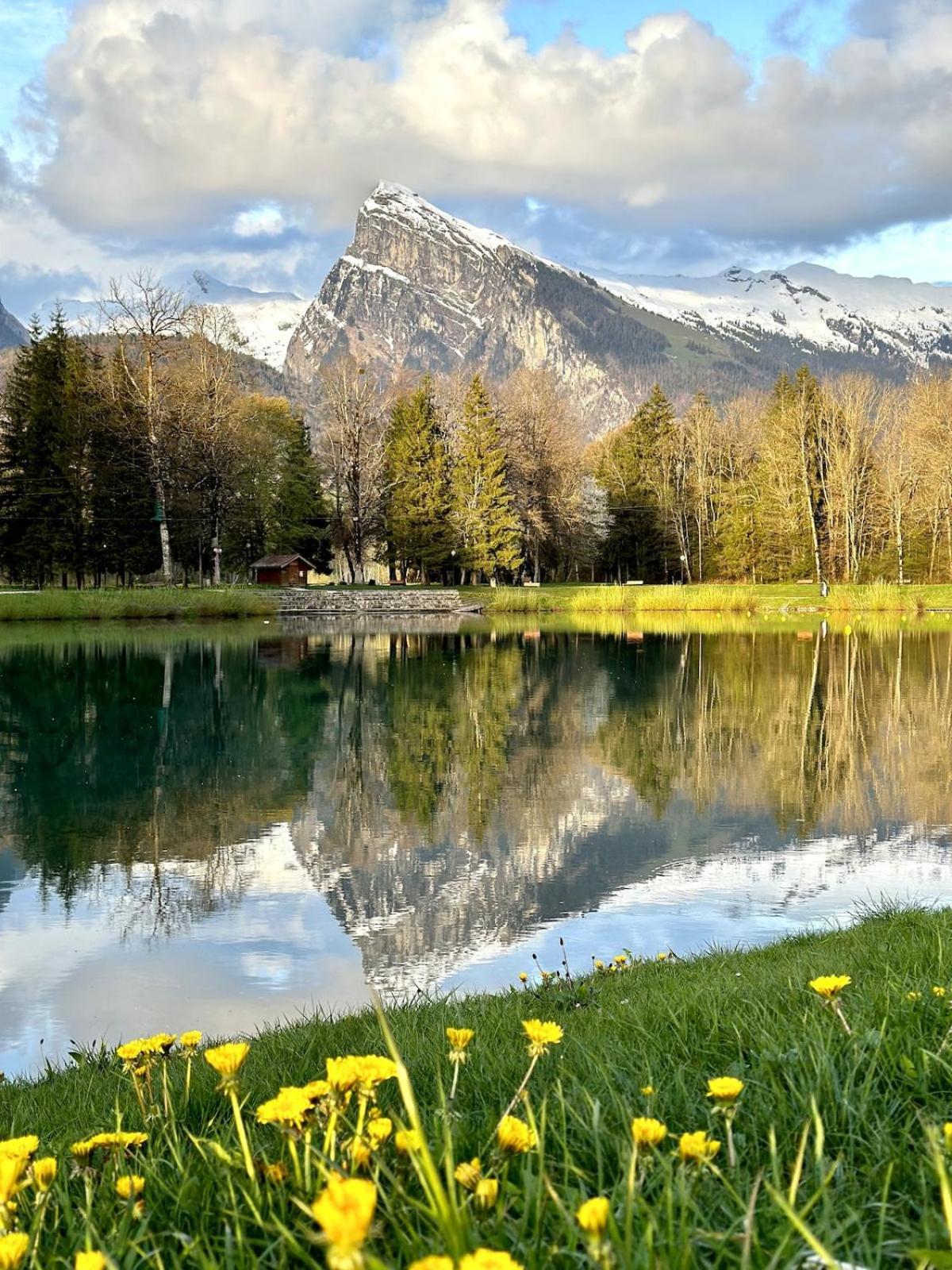 Bungalow 3 Chambres Pour 6 Pers Avec Climatisation Camping 3 Etoiles Samoens Bagian luar foto
